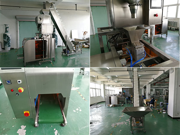 大型自動食品包裝機設備實拍圖