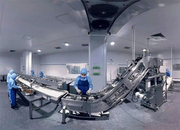 全自動速凍水餃包裝機設備操作實拍圖